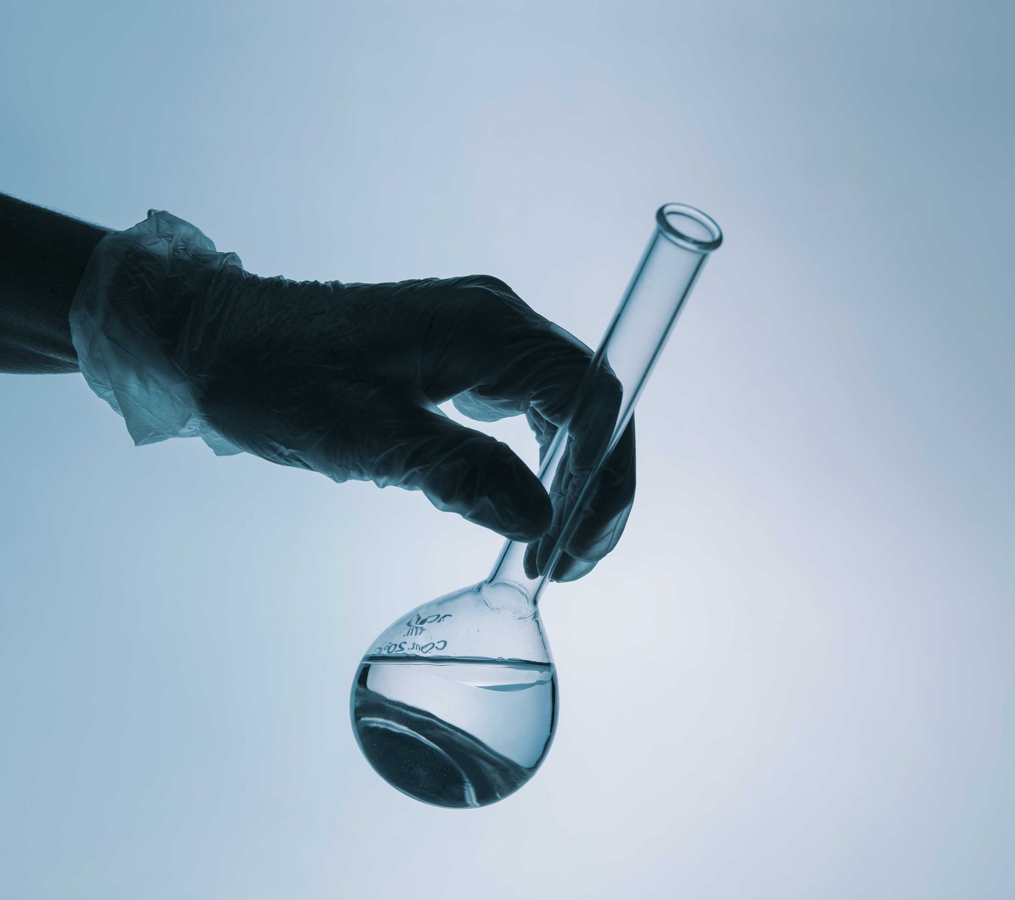 The Science of Ginger